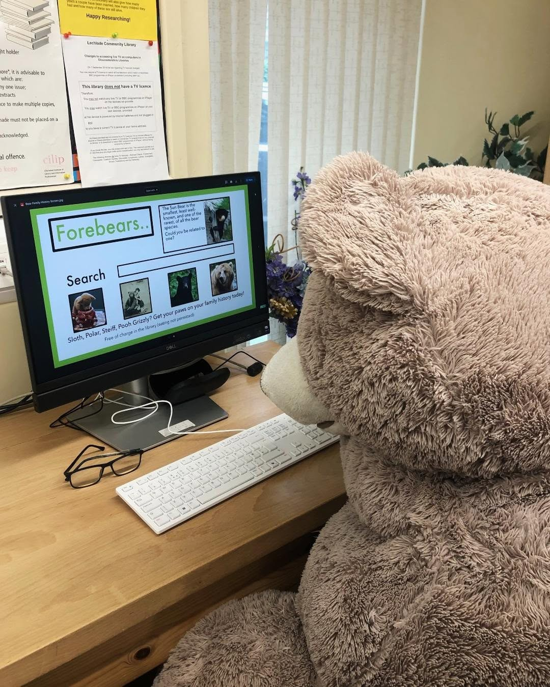 Big Ted’s Beary Important Family‑Tree Findings!