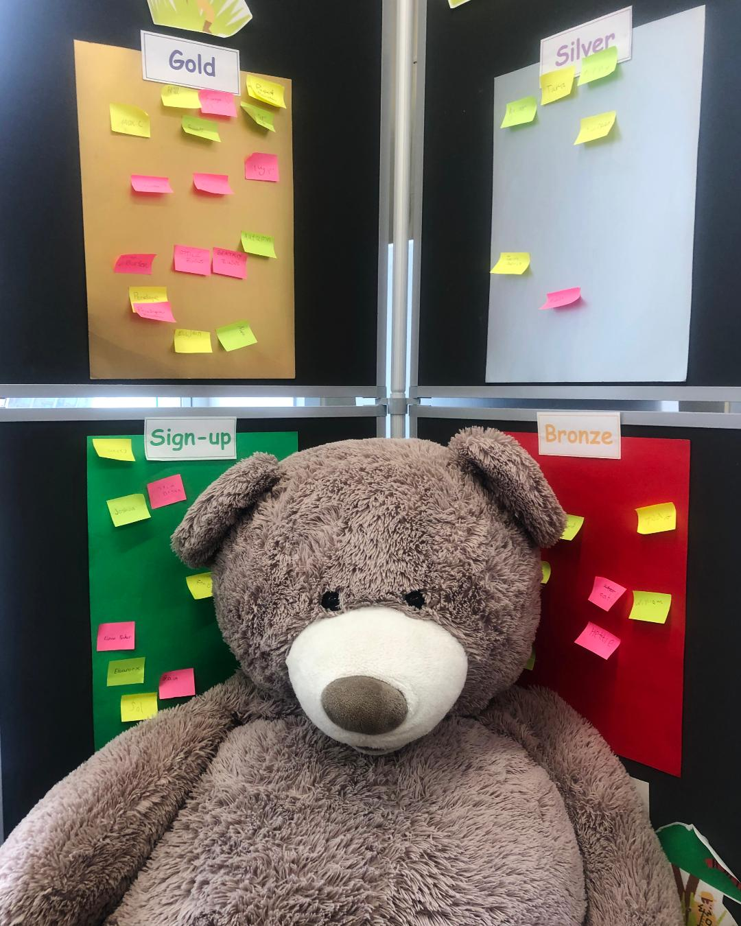 Big Ted and the Library Challenge